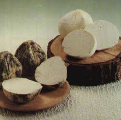 mizythra greek cheese
