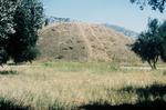 Where the Athensian dead were buried