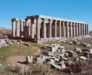 the temple of apollo
