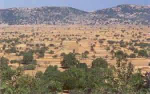 the plateau of omalos