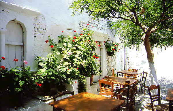 cafe garden