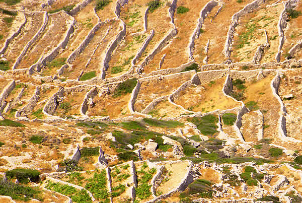 stone wall boundary plots of fields