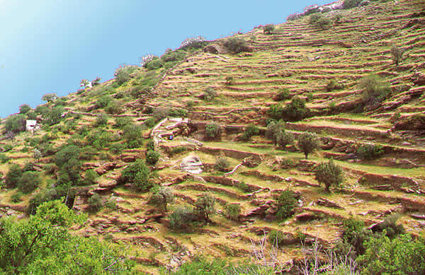 hilly and rocky terraine makes farming a real pain