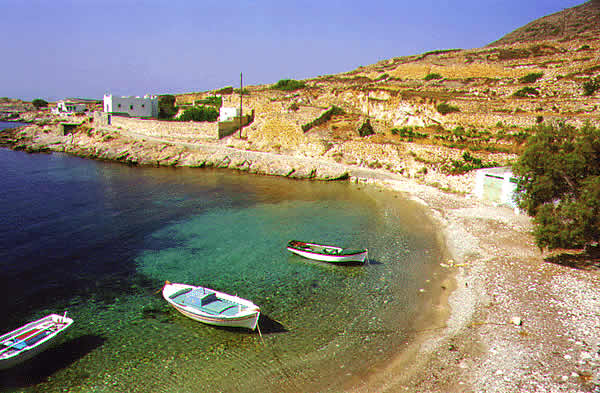 boats
