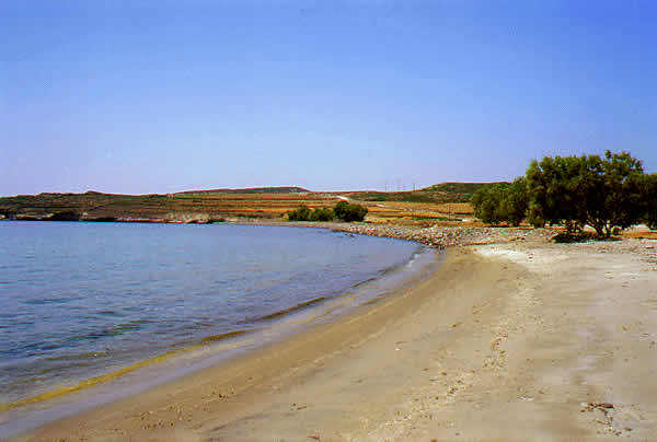 sandy beach