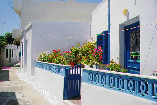 garden of a house