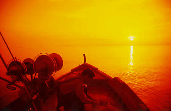 sunrise