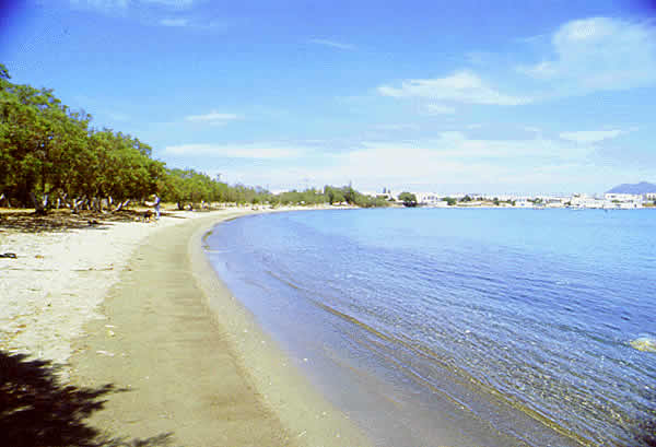nice sandy beach