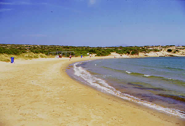 a nice beach