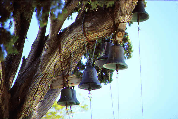 church bells on tree