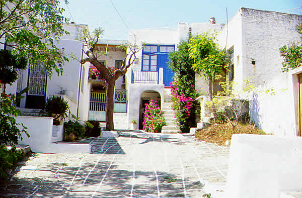 courtyard with flowers