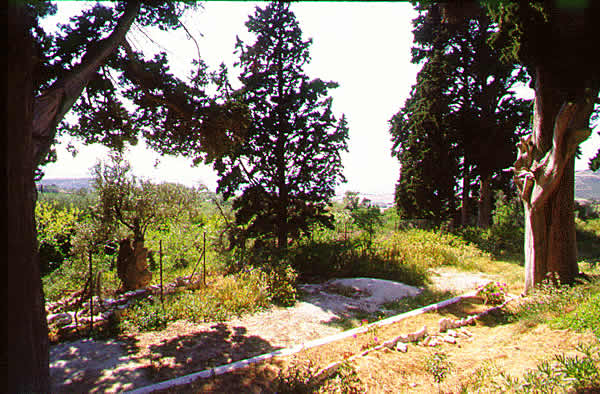 country garden