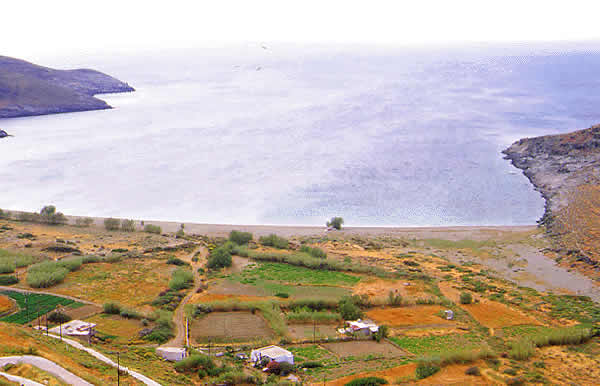 farming at the sea shore