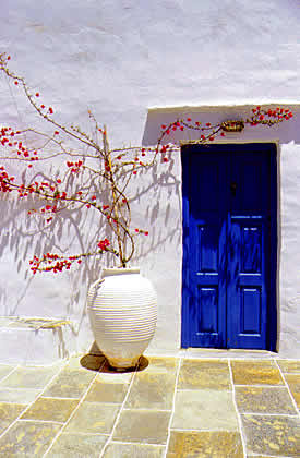blue door with amphora flowers