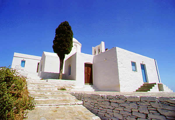 cyprus tree by house