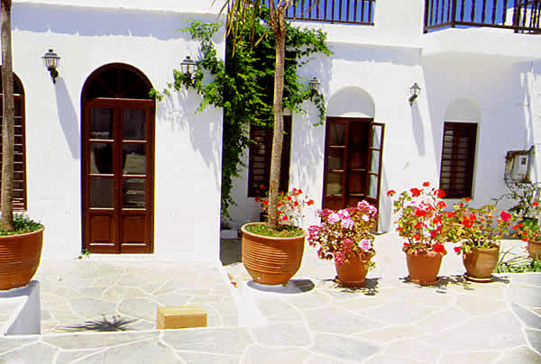 flower pots for display
