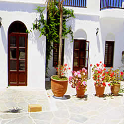 flower pots