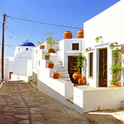 stairs pots