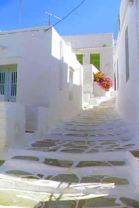 stairs suitable for mules