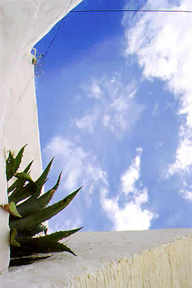 the sky through a window with yucca