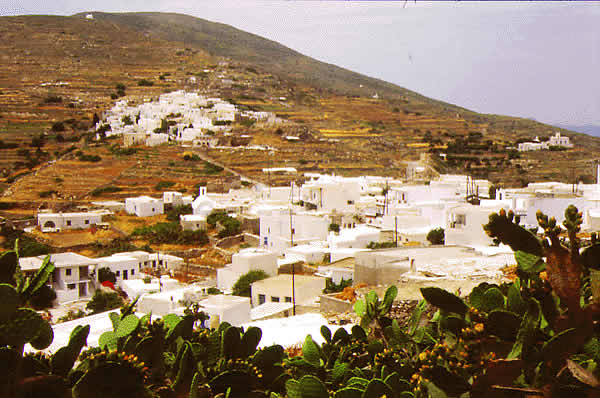 village view with fields
