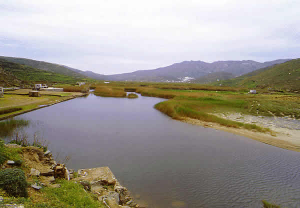 an island lagoon or salt marsh