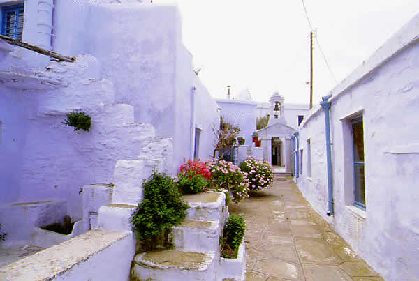 alley with flowers