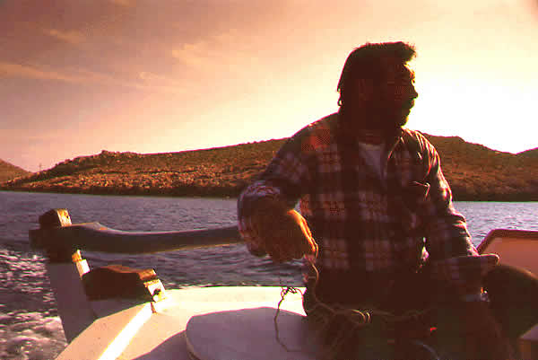 tillerman