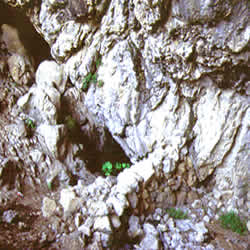 cave