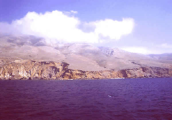 a coastal view with mist