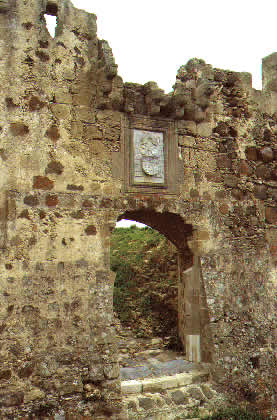 knights castle walls woth heraldic crests