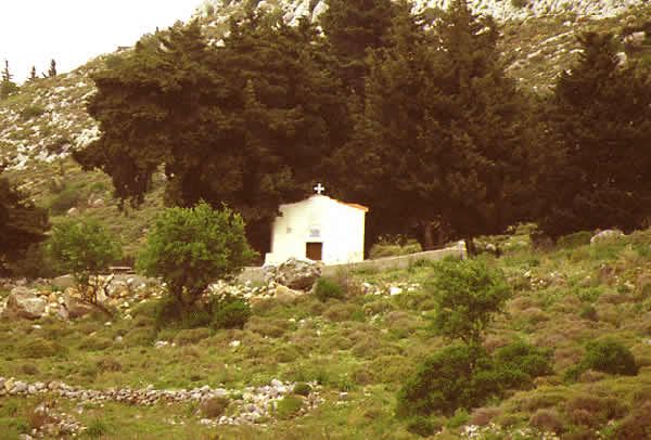  a small shrine in woods