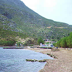 bech 