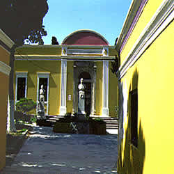 neo classic yellow