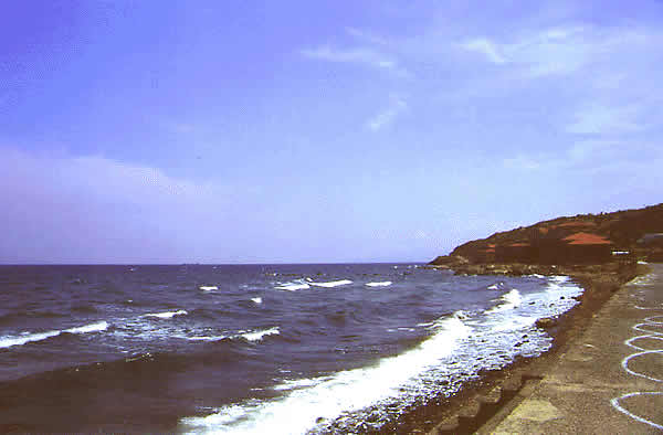 beach with rocks