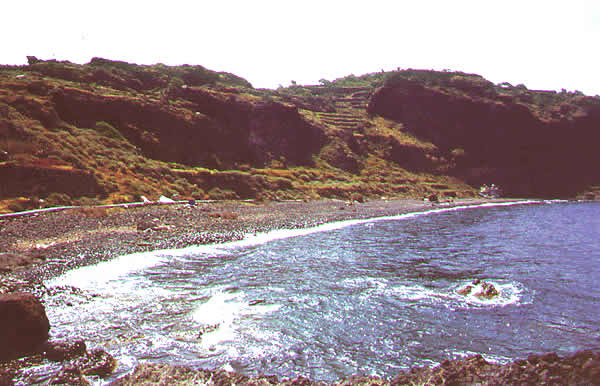 beach with rocks