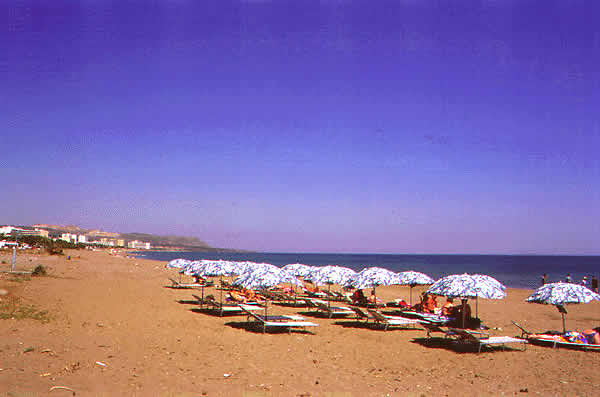 beach with unbrellas and people