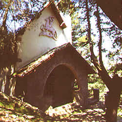 fprest hut