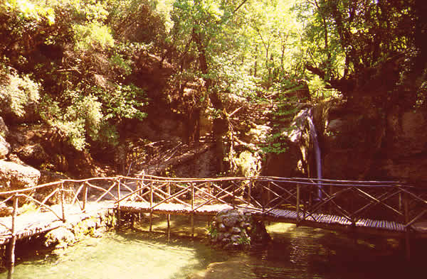 valley butterflies