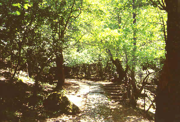valley butterflies