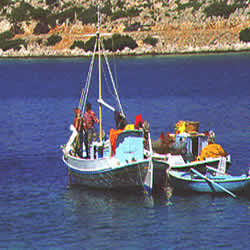 fishing boats