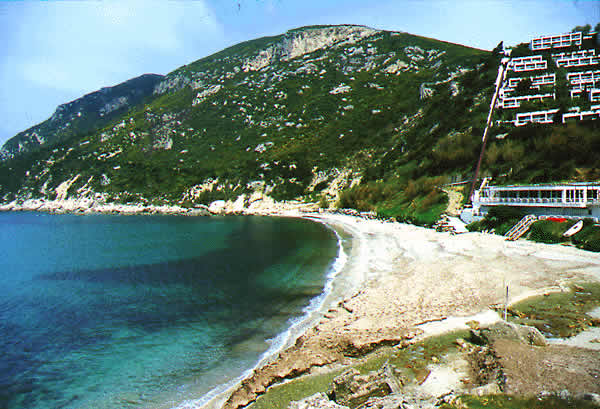 sandy beach with bungalows