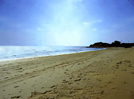 sandy beach with foot prints