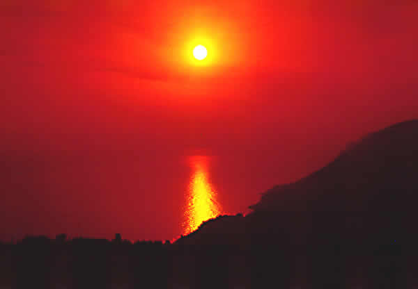 sunrise with martini