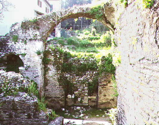 an overgrown ruin