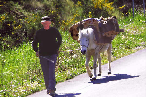 a resident with his donkey