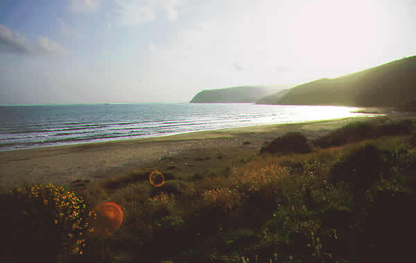 a really nice beach