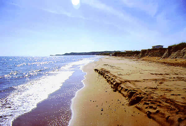 a really nice beach