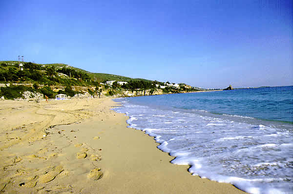 a really nice beach