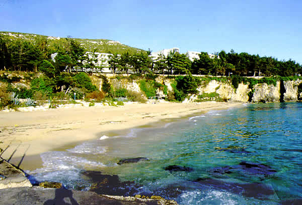 a beach